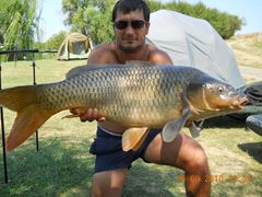 tancabesti 2010